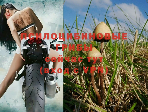 таблы Армянск